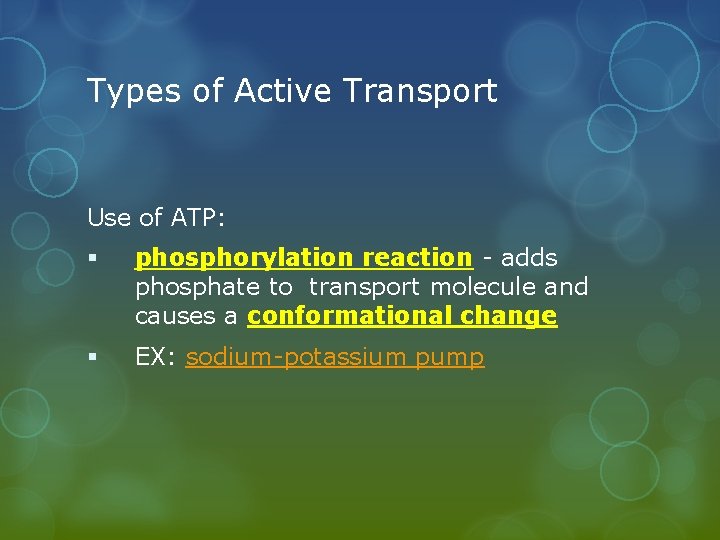 Types of Active Transport Use of ATP: § phosphorylation reaction - adds phosphate to