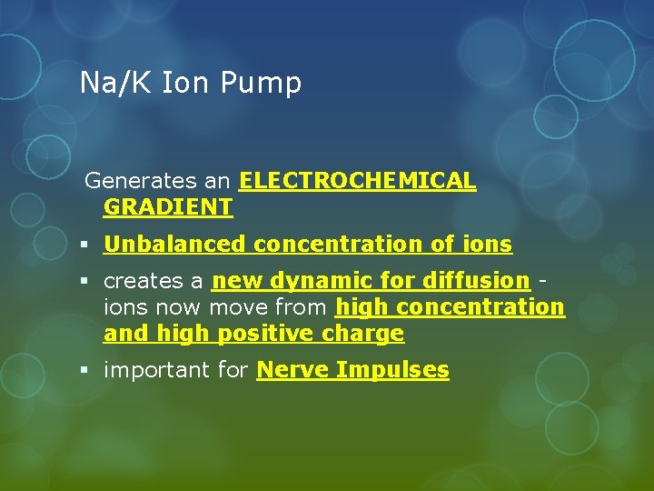 Na/K Ion Pump Generates an ELECTROCHEMICAL GRADIENT § Unbalanced concentration of ions § creates