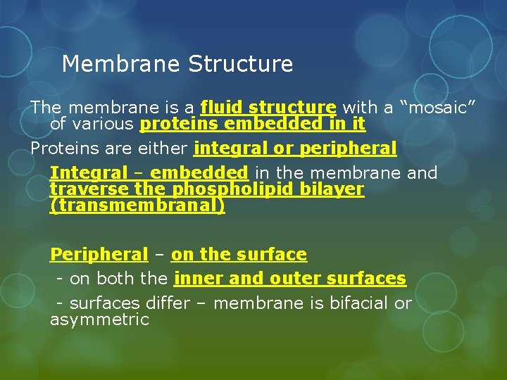 Membrane Structure The membrane is a fluid structure with a “mosaic” of various proteins