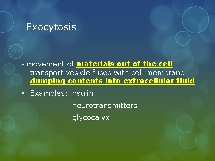 Exocytosis - movement of materials out of the cell transport vesicle fuses with cell