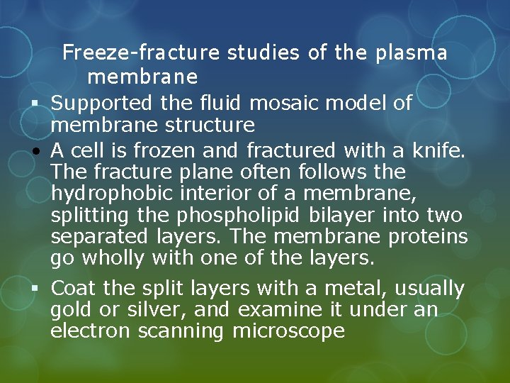 Freeze-fracture studies of the plasma membrane § Supported the fluid mosaic model of membrane