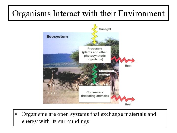 Organisms Interact with their Environment • Organisms are open systems that exchange materials and