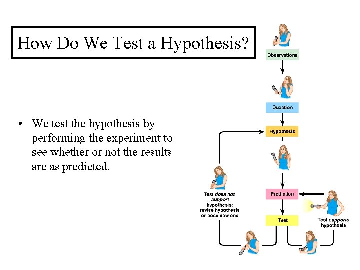 How Do We Test a Hypothesis? • We test the hypothesis by performing the