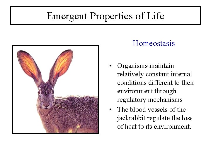 Emergent Properties of Life Homeostasis • Organisms maintain relatively constant internal conditions different to