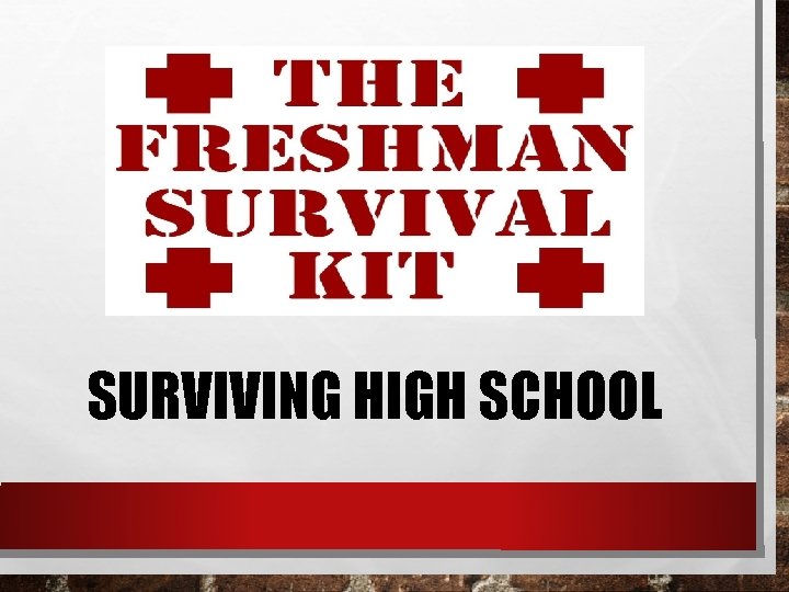 SURVIVING HIGH SCHOOL 