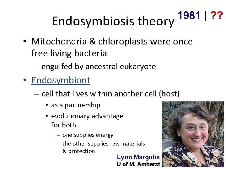 Endosymbiosis theory 1981 | ? ? • Mitochondria & chloroplasts were once free living