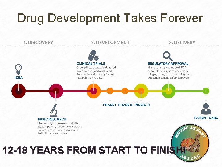 Drug Development Takes Forever 12 -18 YEARS FROM START TO FINISH! 