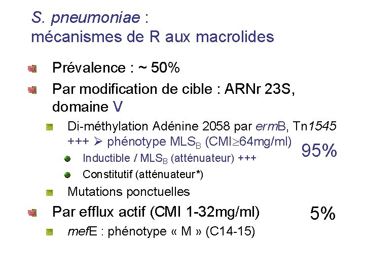 S. pneumoniae : mécanismes de R aux macrolides Prévalence : ~ 50% Par modification