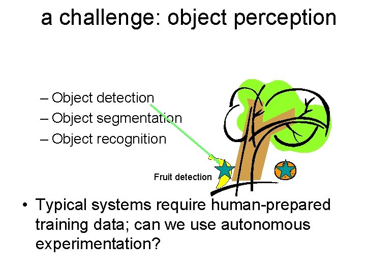 a challenge: object perception – Object detection – Object segmentation – Object recognition Fruit