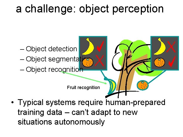 a challenge: object perception – Object detection – Object segmentation – Object recognition Fruit