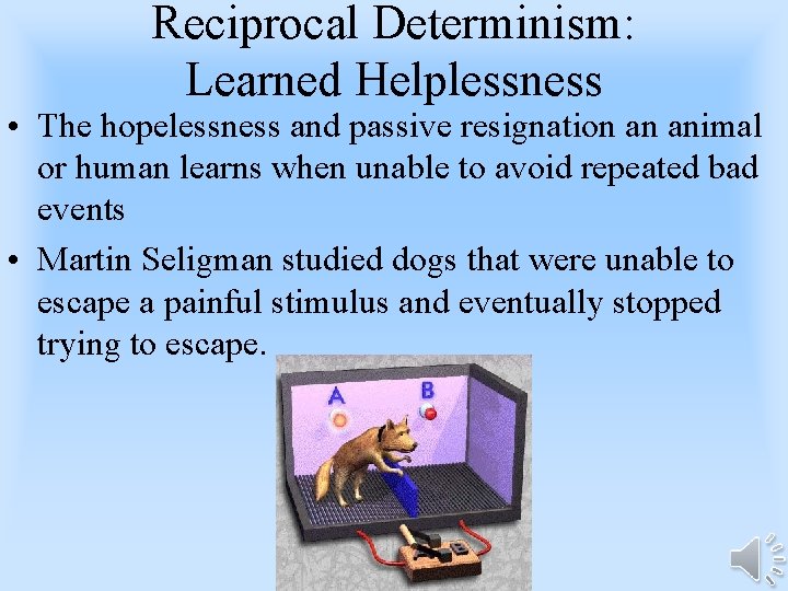 Reciprocal Determinism: Learned Helplessness • The hopelessness and passive resignation an animal or human