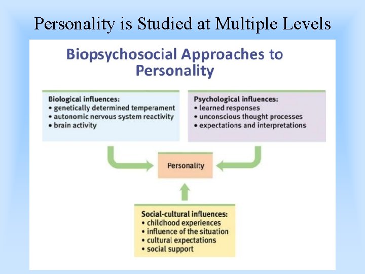 Personality is Studied at Multiple Levels 