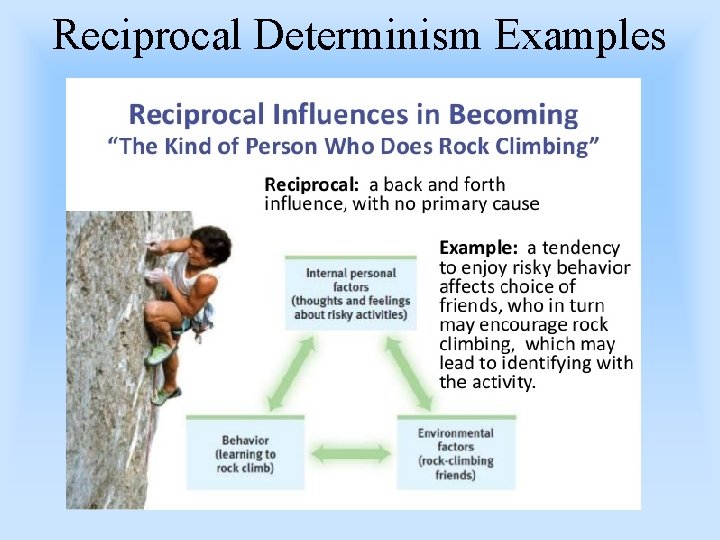 Reciprocal Determinism Examples 