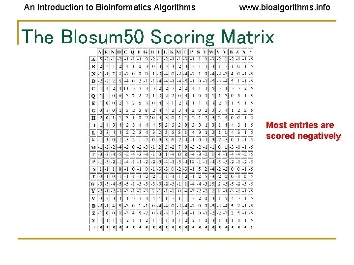 An Introduction to Bioinformatics Algorithms www. bioalgorithms. info The Blosum 50 Scoring Matrix Most An Introduction to Bioinformatics Algorithms www. bioalgorithms. info The Blosum 50 Scoring Matrix Most