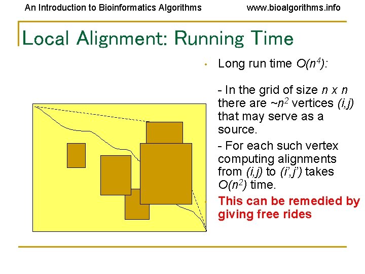 An Introduction to Bioinformatics Algorithms www. bioalgorithms. info Local Alignment: Running Time • • An Introduction to Bioinformatics Algorithms www. bioalgorithms. info Local Alignment: Running Time • •