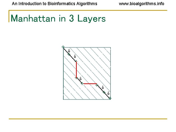 An Introduction to Bioinformatics Algorithms www. bioalgorithms. info Manhattan in 3 Layers δ δ An Introduction to Bioinformatics Algorithms www. bioalgorithms. info Manhattan in 3 Layers δ δ