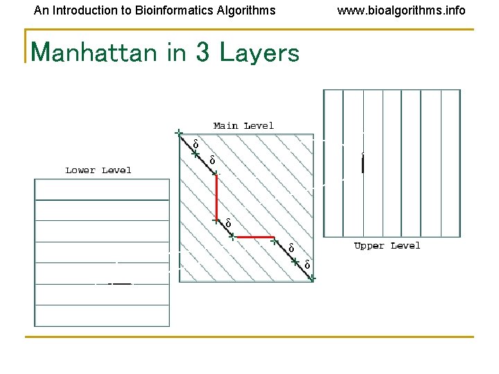 An Introduction to Bioinformatics Algorithms www. bioalgorithms. info Manhattan in 3 Layers δ δ An Introduction to Bioinformatics Algorithms www. bioalgorithms. info Manhattan in 3 Layers δ δ