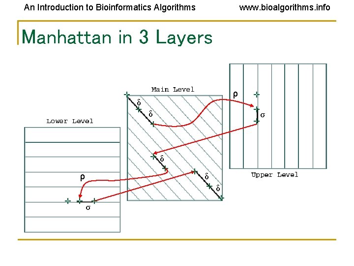 An Introduction to Bioinformatics Algorithms www. bioalgorithms. info Manhattan in 3 Layers ρ δ An Introduction to Bioinformatics Algorithms www. bioalgorithms. info Manhattan in 3 Layers ρ δ