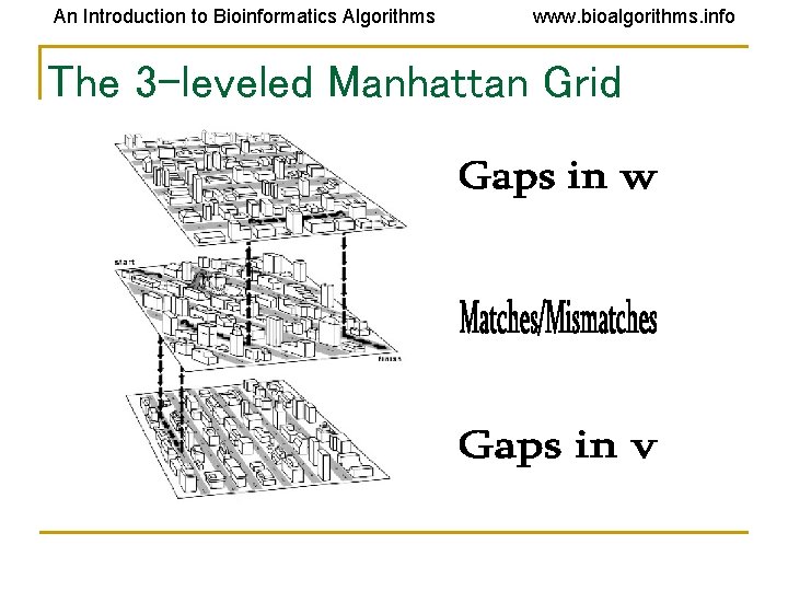An Introduction to Bioinformatics Algorithms www. bioalgorithms. info The 3 -leveled Manhattan Grid An Introduction to Bioinformatics Algorithms www. bioalgorithms. info The 3 -leveled Manhattan Grid