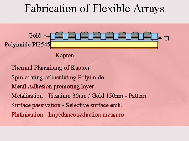 Fabrication of Flexible Arrays Gold Polyimide PI 2545 Ti Kapton Thermal Planarising of Kapton