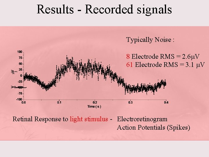 Results - Recorded signals Typically Noise : 8 Electrode RMS = 2. 6 V