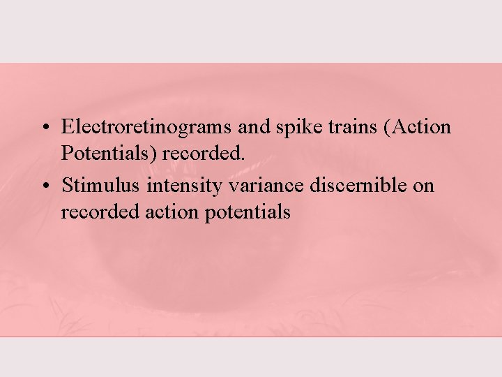  • Electroretinograms and spike trains (Action Potentials) recorded. • Stimulus intensity variance discernible