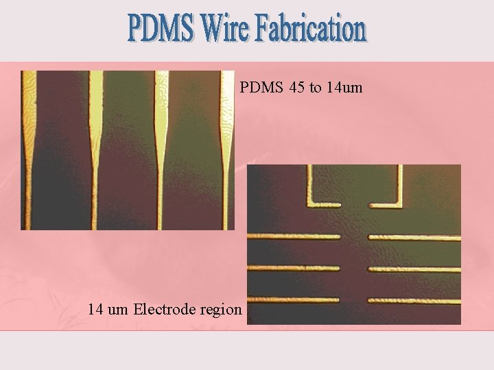 PDMS 45 to 14 um 14 um Electrode region 