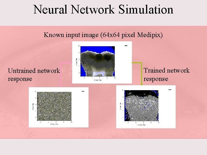 Neural Network Simulation Known input image (64 x 64 pixel Medipix) Untrained network response