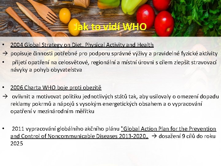 Jak to vidí WHO • 2004 Global Strategy on Diet, Physical Activity and Health