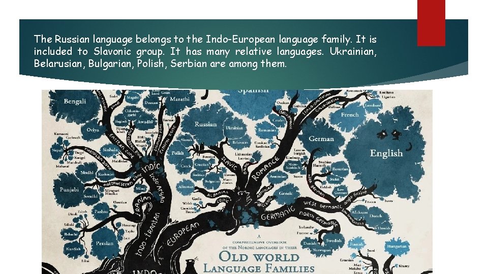 The Russian language belongs to the Indo-European language family. It is included to Slavonic