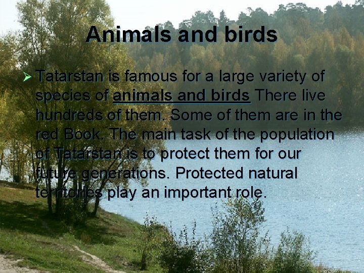 Animals and birds Ø Tatarstan is famous for a large variety of species of