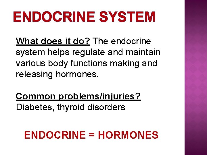 ENDOCRINE SYSTEM What does it do? The endocrine system helps regulate and maintain various