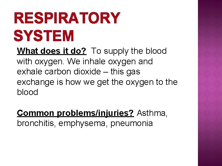 RESPIRATORY SYSTEM What does it do? To supply the blood with oxygen. We inhale