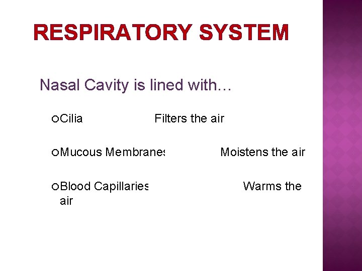 RESPIRATORY SYSTEM Nasal Cavity is lined with… Cilia Filters the air Mucous Blood air