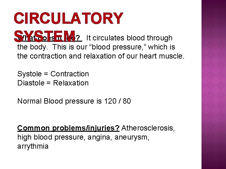CIRCULATORY What does it do? It circulates blood through SYSTEM the body. This is