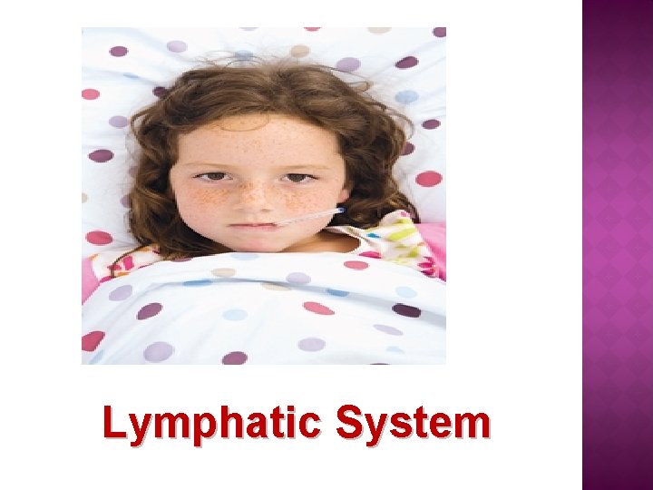 Lymphatic System 