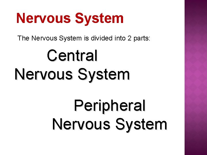 Nervous System The Nervous System is divided into 2 parts: Central Nervous System Peripheral