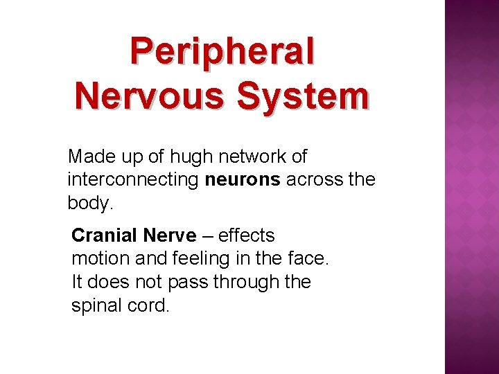 Peripheral Nervous System Made up of hugh network of interconnecting neurons across the body.