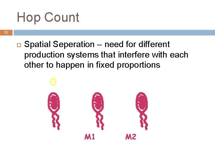 Hop Count 12 Spatial Seperation – need for different production systems that interfere with