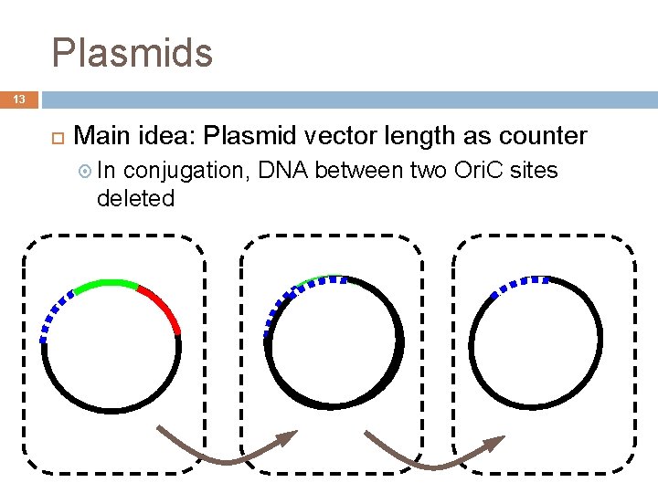 Plasmids 13 Main idea: Plasmid vector length as counter In conjugation, DNA between two
