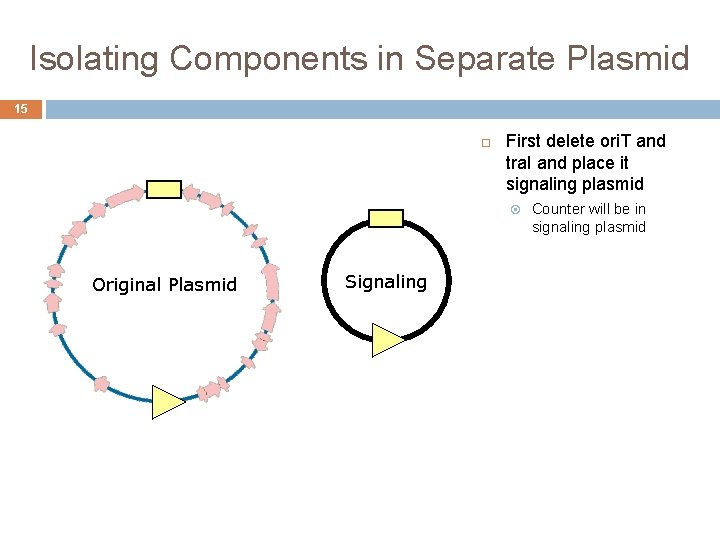 Isolating Components in Separate Plasmid 15 First delete ori. T and tra. I and
