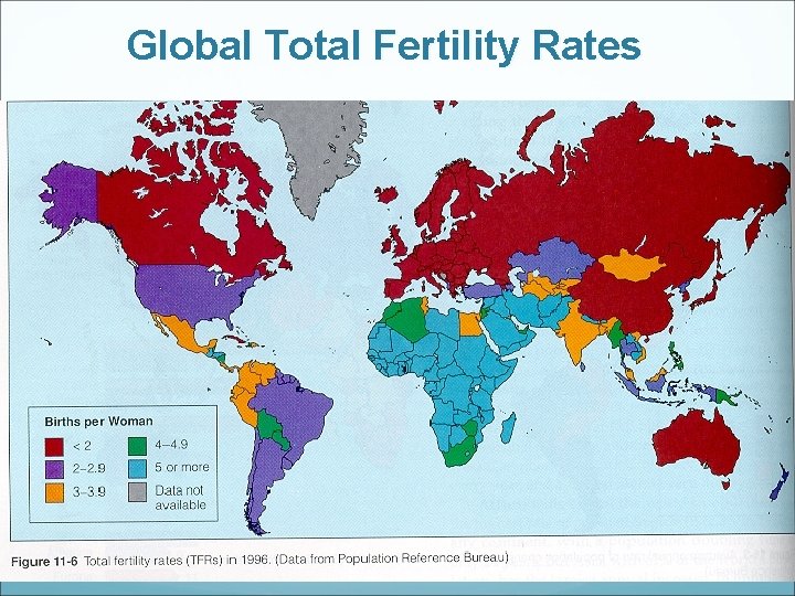 Global Total Fertility Rates 