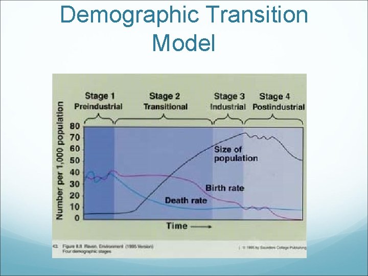 Demographic Transition Model 