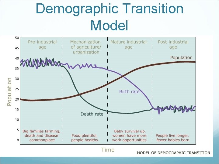 Demographic Transition Model 