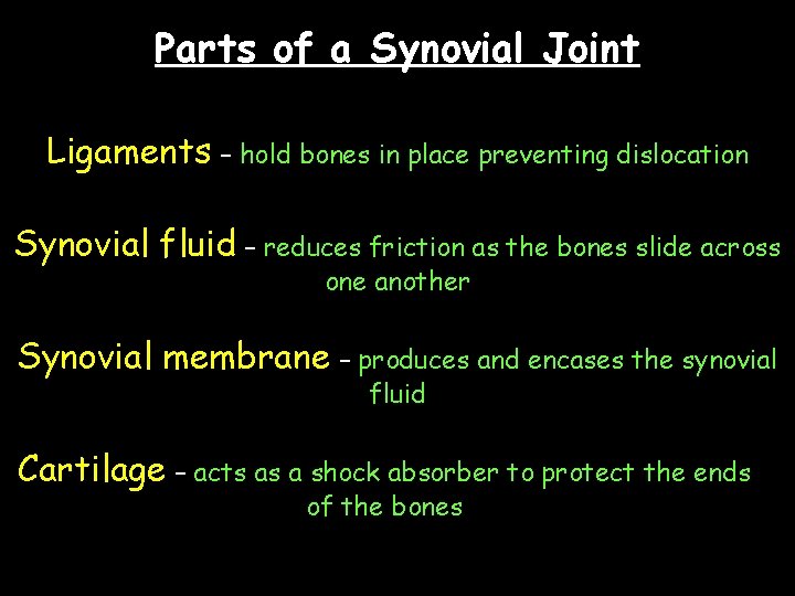 Parts of a Synovial Joint Ligaments – hold bones in place preventing dislocation Synovial