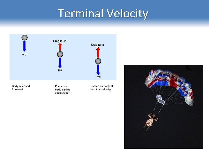 Terminal Velocity 