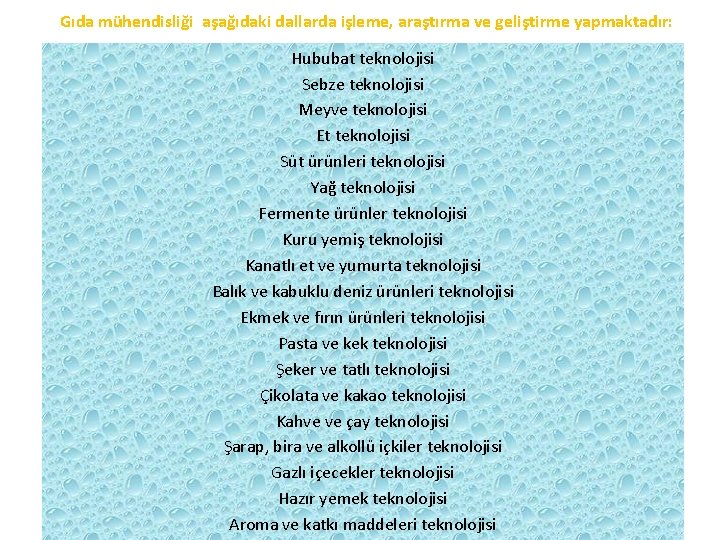 Gıda mühendisliği aşağıdaki dallarda işleme, araştırma ve geliştirme yapmaktadır: Hububat teknolojisi Sebze teknolojisi Meyve