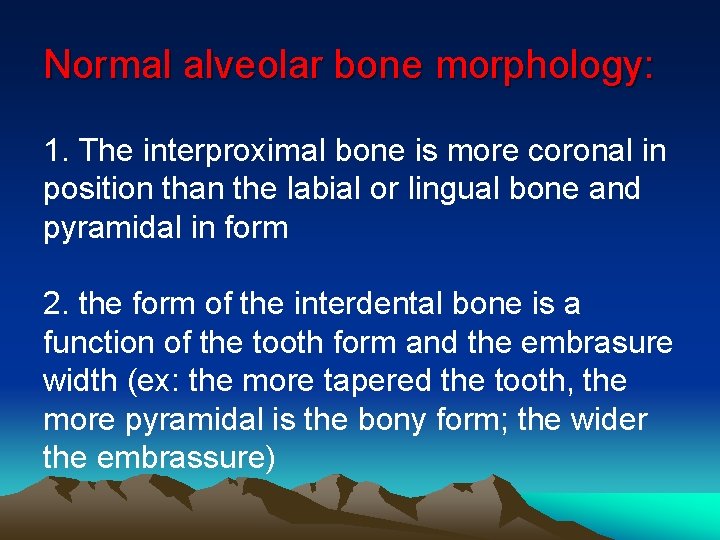 Normal alveolar bone morphology: 1. The interproximal bone is more coronal in position than