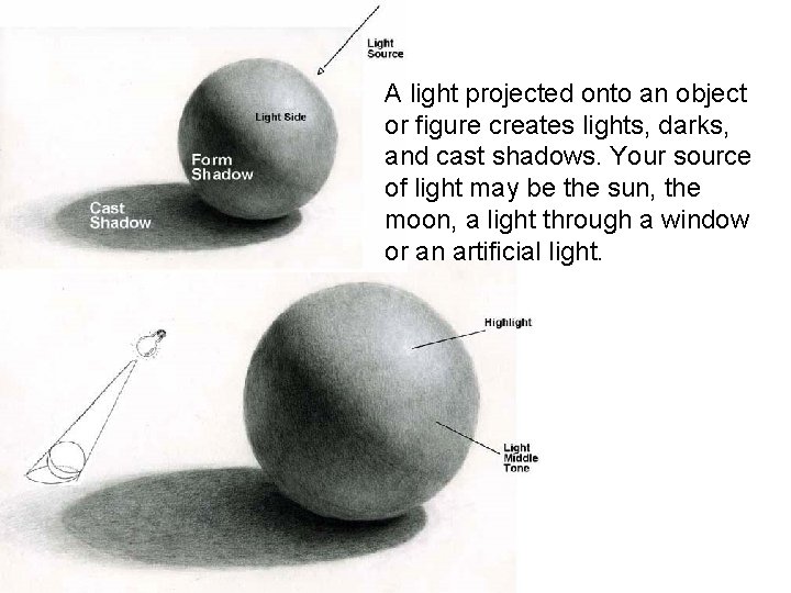 A light projected onto an object or figure creates lights, darks, and cast shadows.