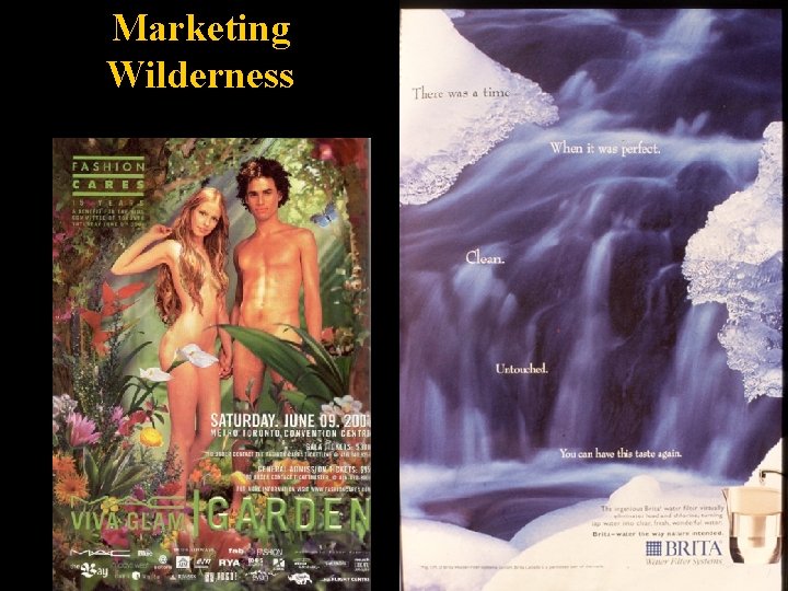 Marketing Wilderness 